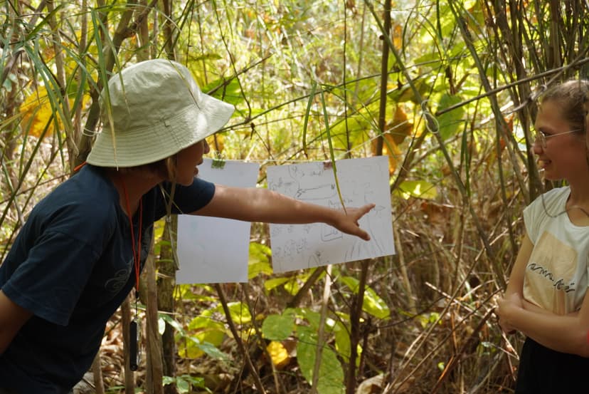 Course & Nature Immersions