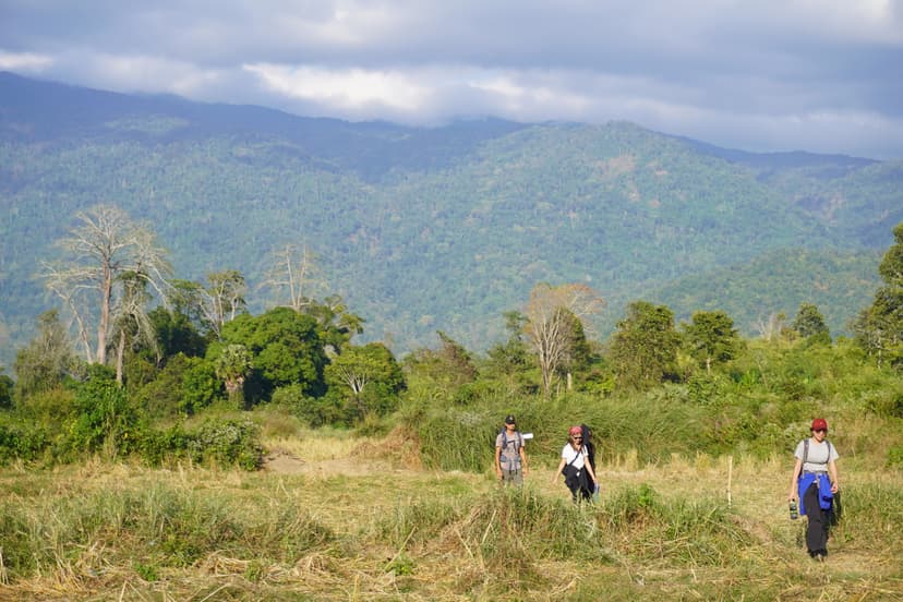 Course & Nature Immersions