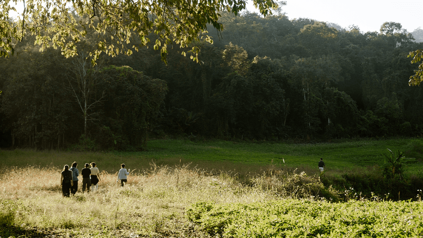 Course & Nature Immersions