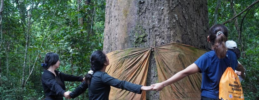 Course & Nature Immersions