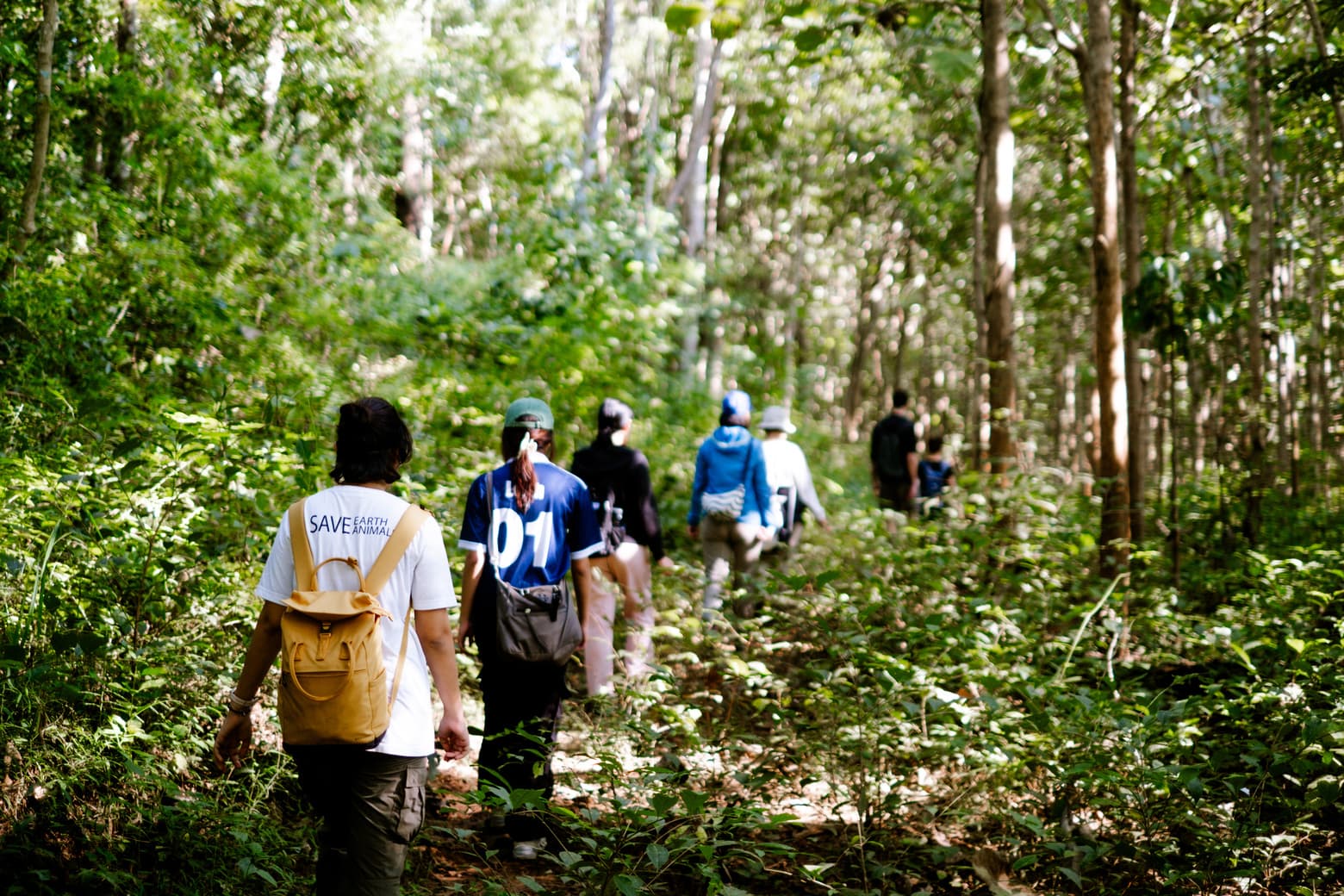 Nature Connection Retreats overview