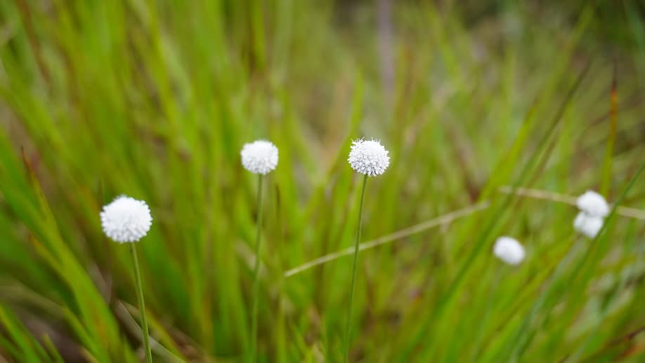 WOMEN EMPOWERMENT